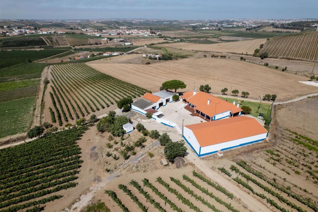 Whome Countryside Charm Near Wedding Venue W/ Bbq Patio Torres Vedras Exteriér fotografie